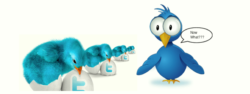 Step Two in the Twitter Journey: Twitter for Newbies 102