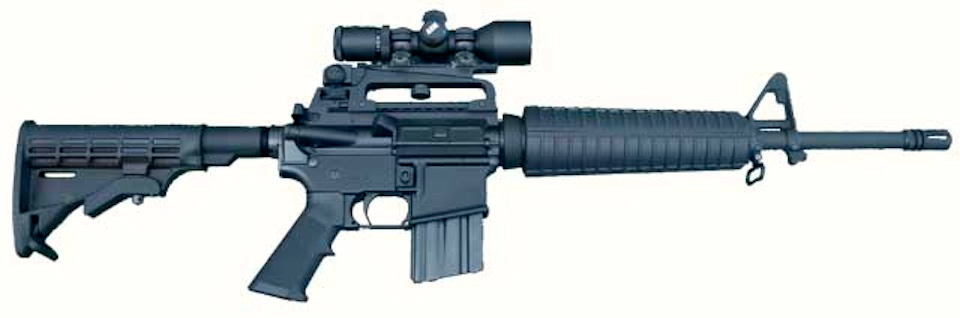 The Evil AR-15