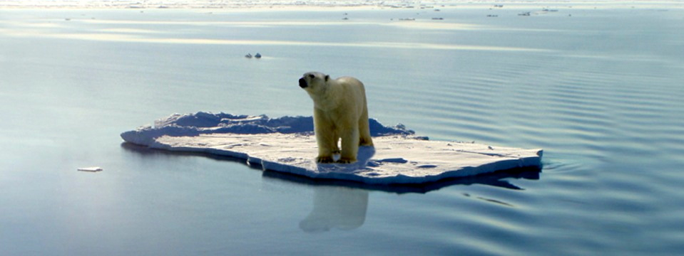Is Global Warming On Its Deathbed?